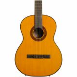 Guitarra acústica de cuerdas de nylon con tapa de abeto, parte posterior, lados y cuello de caoba y diapasón de palisandro.